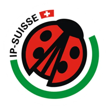 swiz-su