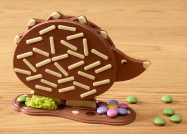 The chocolate experience for families - hedgehog in 3D