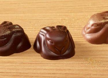 My bunny pralines
